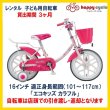 画像1: 子ども用自転車 レンタル 3ヶ月 ブリヂストン エコキッズカラフル 16インチ 【店頭引取限定品】 (1)