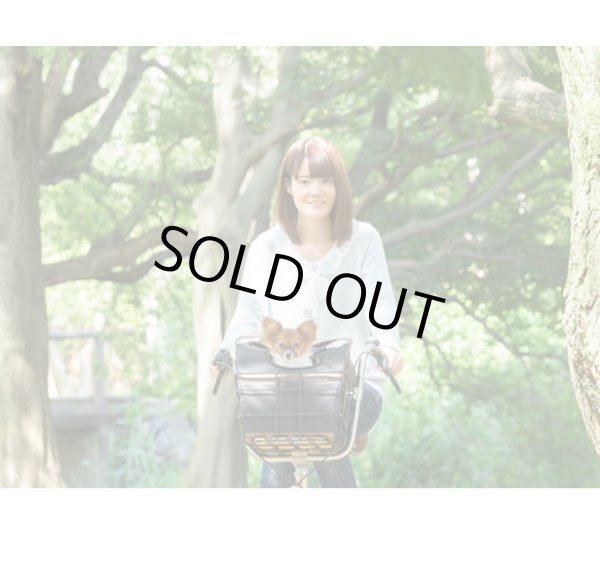 画像2: 電動自転車 ペット乗せ maruisi pet poter (ペットポーターアシスト) 11.1Ah 20インチ ASPET203M 2022年 自社便エリア送料無料(地域限定) (2)