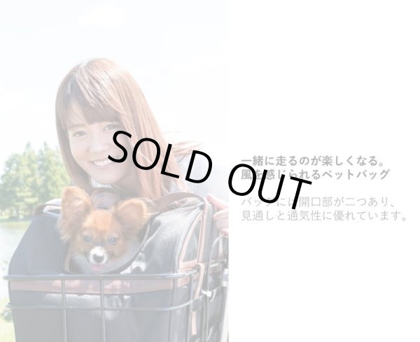 画像4: 電動自転車 ペット乗せ maruisi pet poter (ペットポーターアシスト) 11.1Ah 20インチ ASPET203M 2022年 自社便エリア送料無料(地域限定) (4)