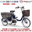 画像1: レンタル 1週間 電動自転車 3輪車 ヤマハ PAS ワゴン　15.4Ah 適応身長139以上 自社便エリア対象（送料無料） (1)